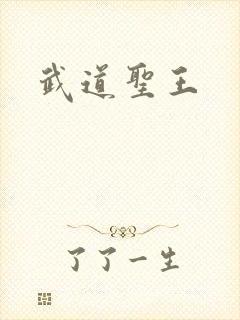 武道圣王