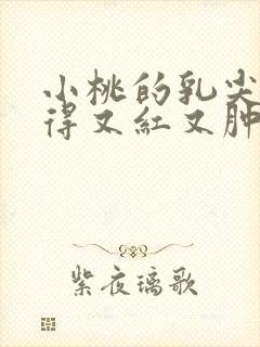 小桃的乳尖被吸得又红又肿