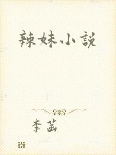 辣妹小说