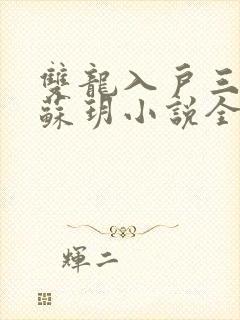 双龙入户三人行苏玥小说全文阅读