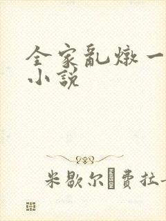 全家乱炖一锅烩小说