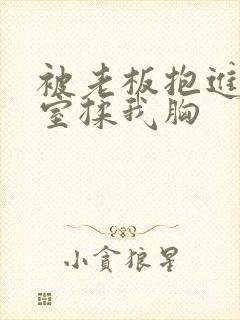 被老板抱进办公室揉我胸