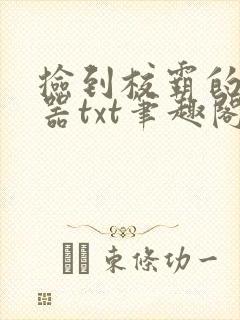 捡到校霸的遥控器txt笔趣阁