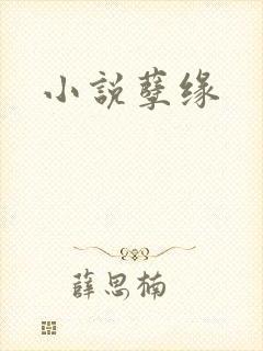 小说孽缘