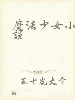 魔法少女小圆小说