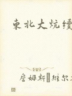 东北大炕续集