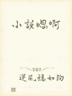 小说嗯啊