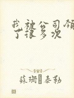 我被公司领导C了很多次