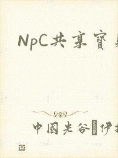NpC共享宝贝