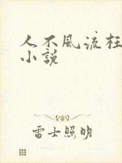 人不风流枉少年小说