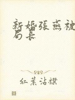 新婚张燕被两个局长