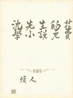 沈先生的花式教学小说免费