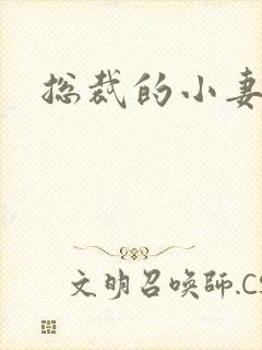 总裁的小妻子