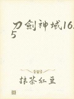 刀剑神域16.5