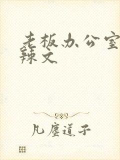 老板办公室系列辣文