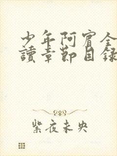 少年阿宾全文阅读章节目录