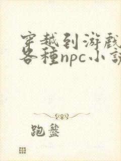 穿越到游戏里和各种npc小说