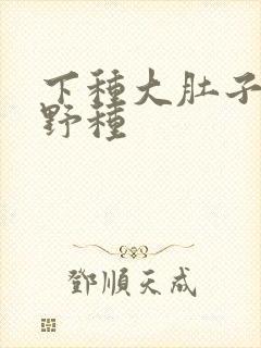 下种大肚子怀孕野种