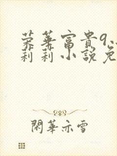 荣华富贵9小王莉莉小说免费阅读