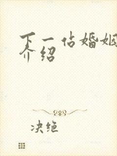 下一站婚姻剧情介绍