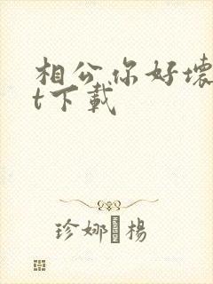 相公你好坏txt下载