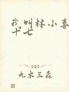 我叫林小喜今年十七