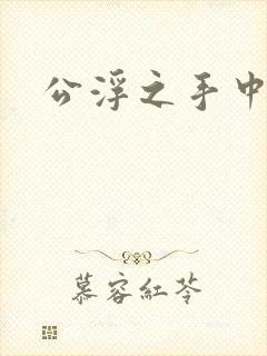 公浮之手中字5