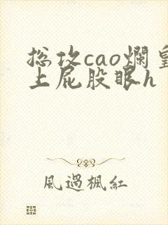 总攻cao烂皇上屁股眼h