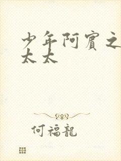 少年阿宾之房东太太