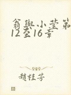 翁与小莹第十部12至16章