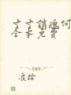 寸寸销魂何生祥全本免费