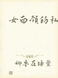 女白领的私生活