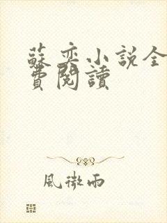 苏奕小说全文免费阅读