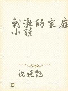 刺激的家庭乱仑小说