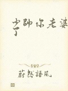 少帅你老婆又跑了