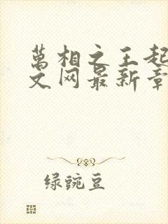 万相之王起点中文网最新章节