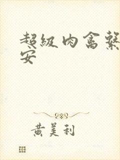 超级肉禽系统保安