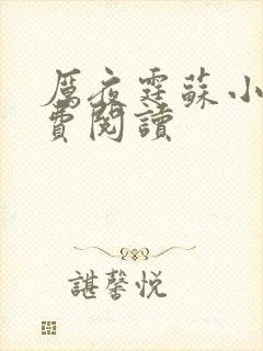 厉夜霆苏小汐免费阅读