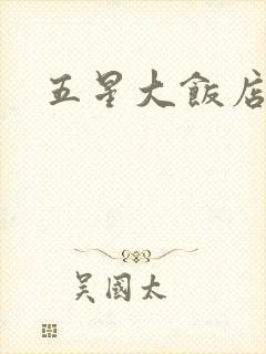 五星大饭店小说