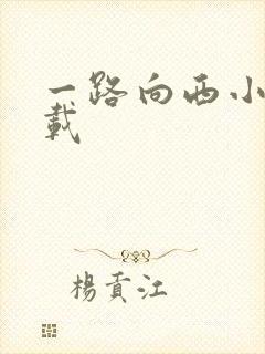 一路向西小说下载