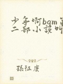 少年啊bgm第二部小说叫什么