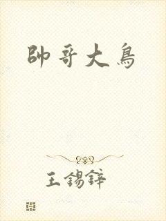 帅哥大鸟