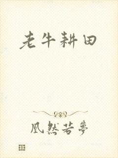 老牛耕田