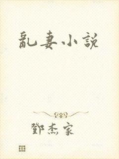 乱妻小说