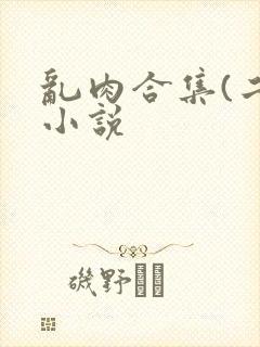 乱肉合集(二)小说