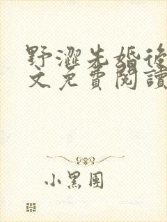 野涩先婚后爱全文免费阅读笔趣阁