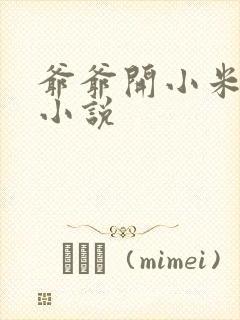 爷爷开小米的包小说