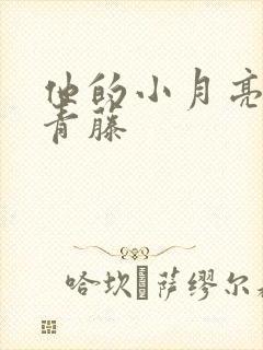 他的小月亮by青藤