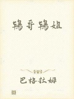 鸨哥鸨姐