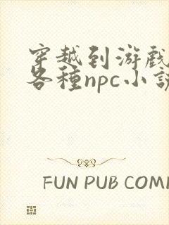 穿越到游戏里和各种npc小说